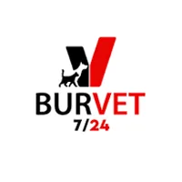 Burvet